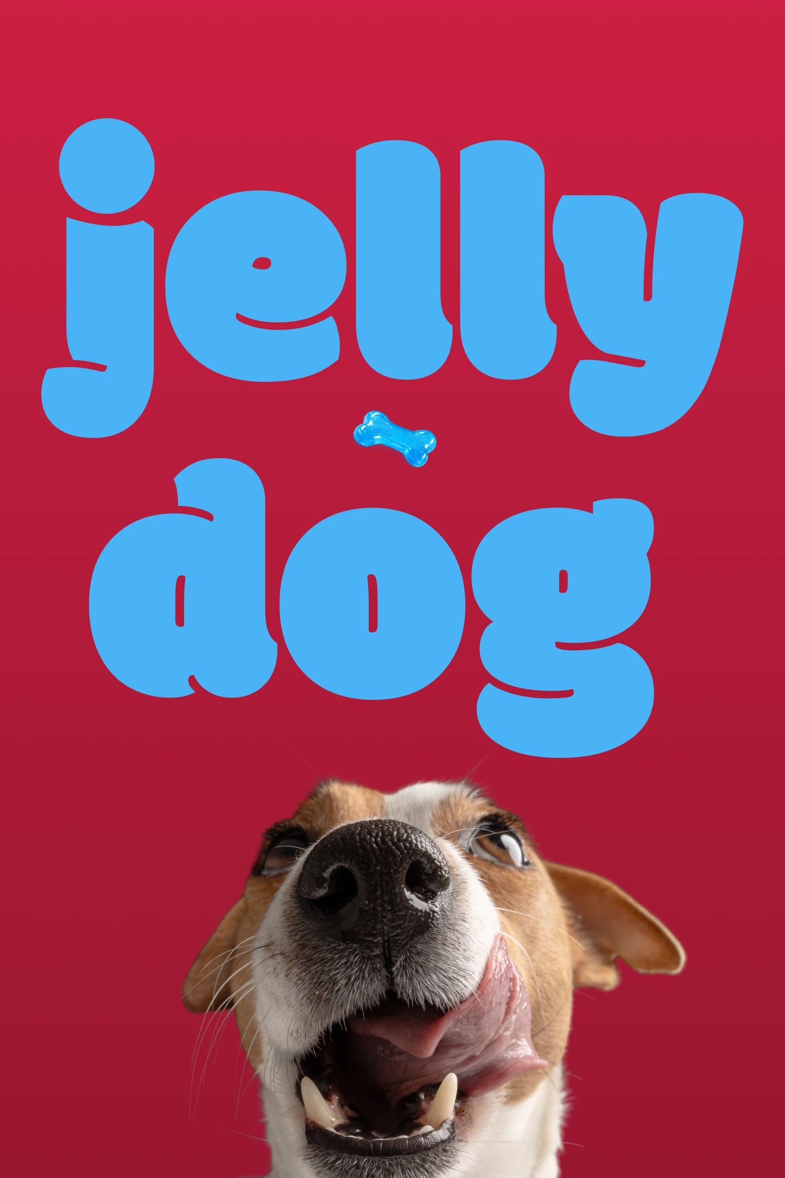 Jelly Dog 5