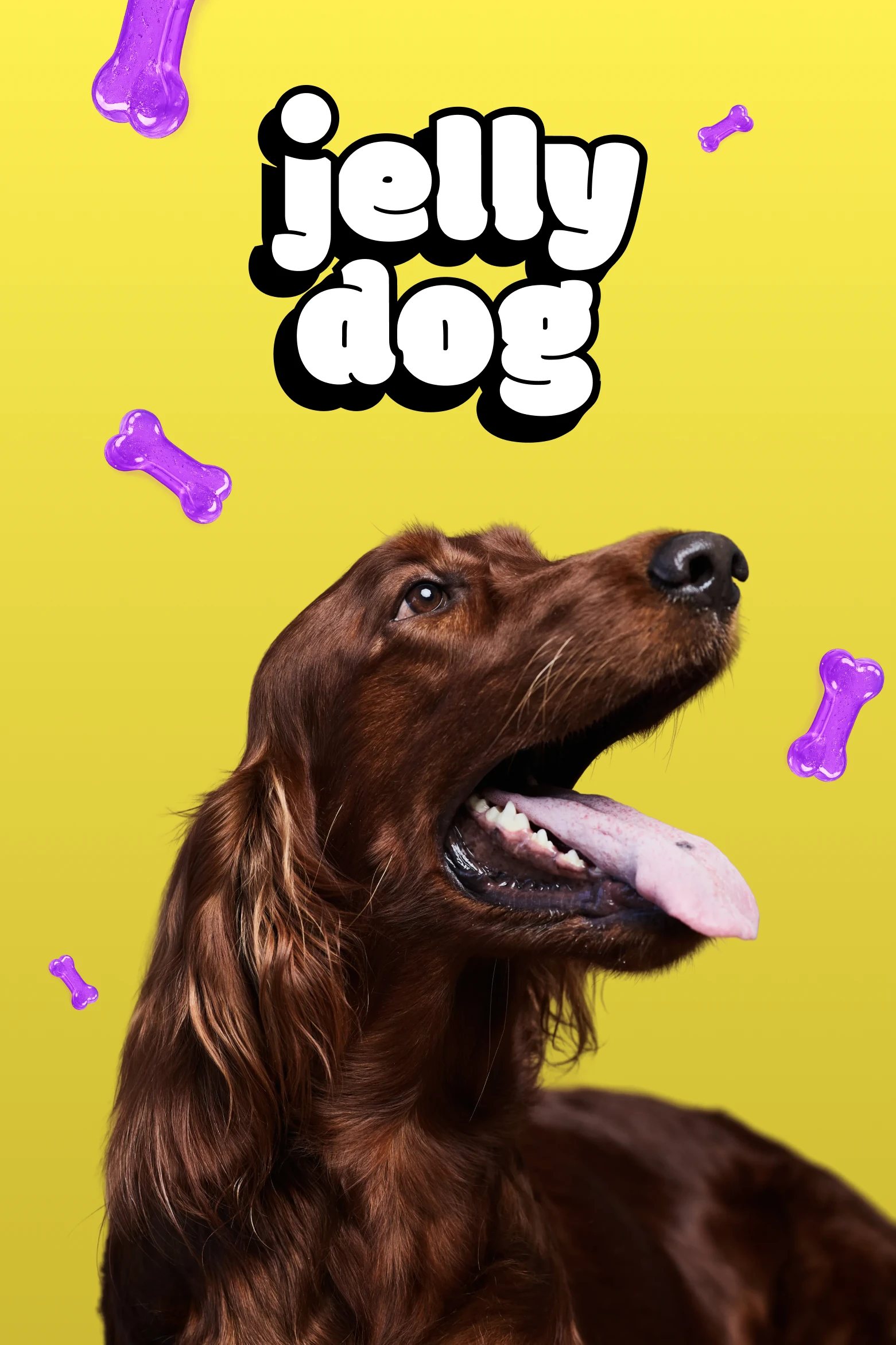Jelly Dog 10