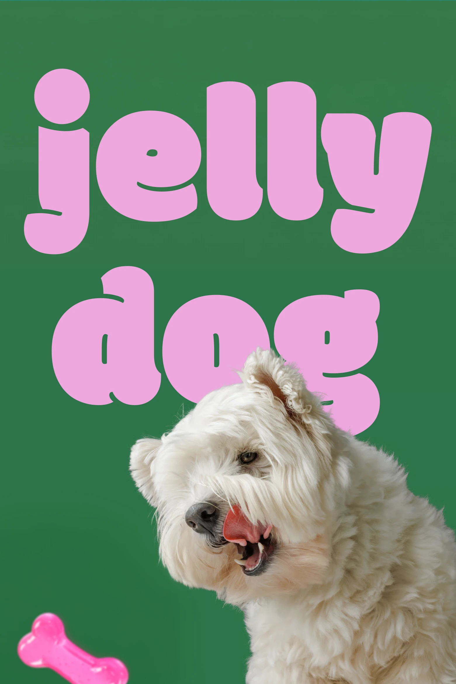 Jelly Dog 14